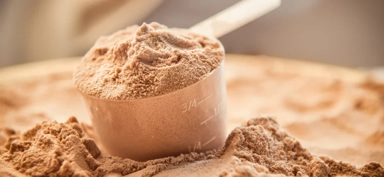 proteina aislada vs concentrada